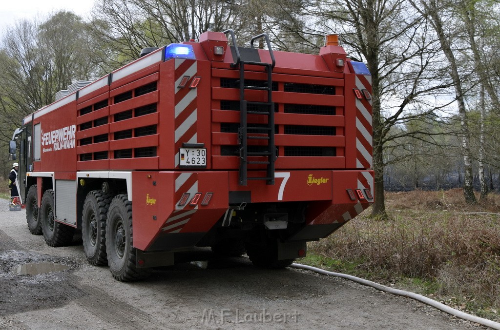 Waldbrand Wahner Heide Troisdorf Eisenweg P079.JPG - Miklos Laubert